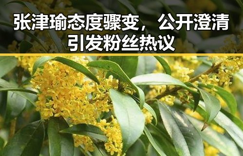 张津瑜态度骤变，公开澄清引发粉丝热议
