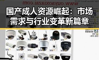 国产成人资源崛起：市场需求与行业变革新篇章