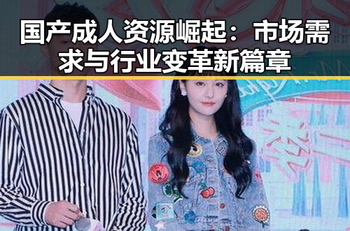 国产成人资源崛起：市场需求与行业变革新篇章
