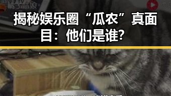 揭秘娱乐圈“瓜农”真面目：他们是谁？