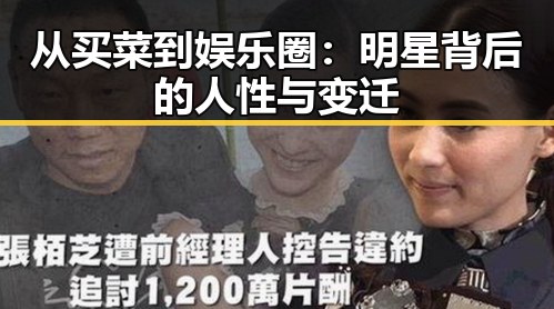 从买菜到娱乐圈：明星背后的人性与变迁